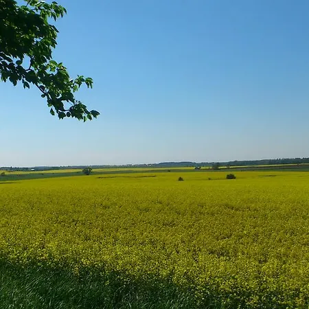 Apartamento Zum Wiesengrund