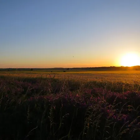 Apartamento Zum Wiesengrund Frauenhagen