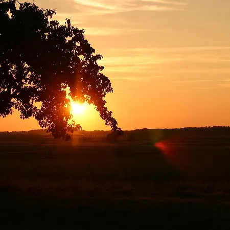 Apartamento Zum Wiesengrund
