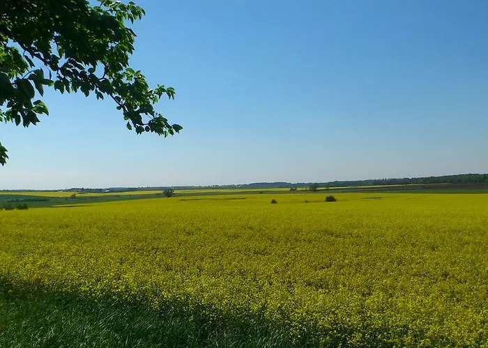 Апартаменты Zum Wiesengrund