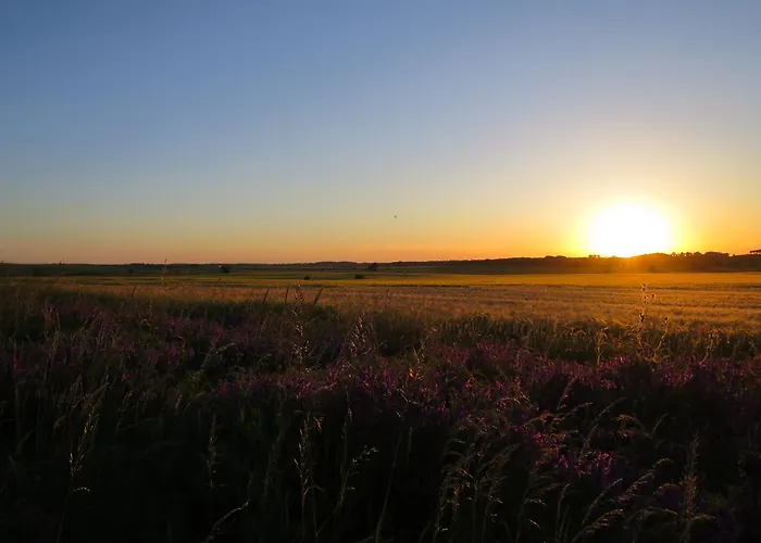 Апартаменты Zum Wiesengrund Frauenhagen