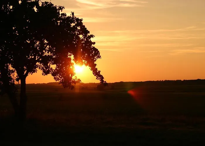 Апартаменты Zum Wiesengrund